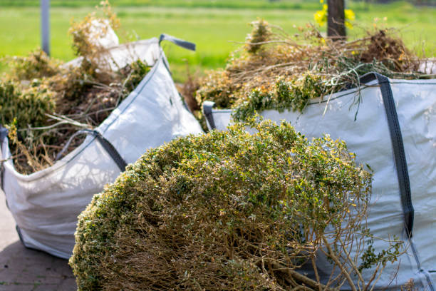 Best Yard Waste Removal  in Carney, MD